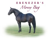 Ebenezers Money Bag